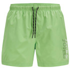 Summer Green